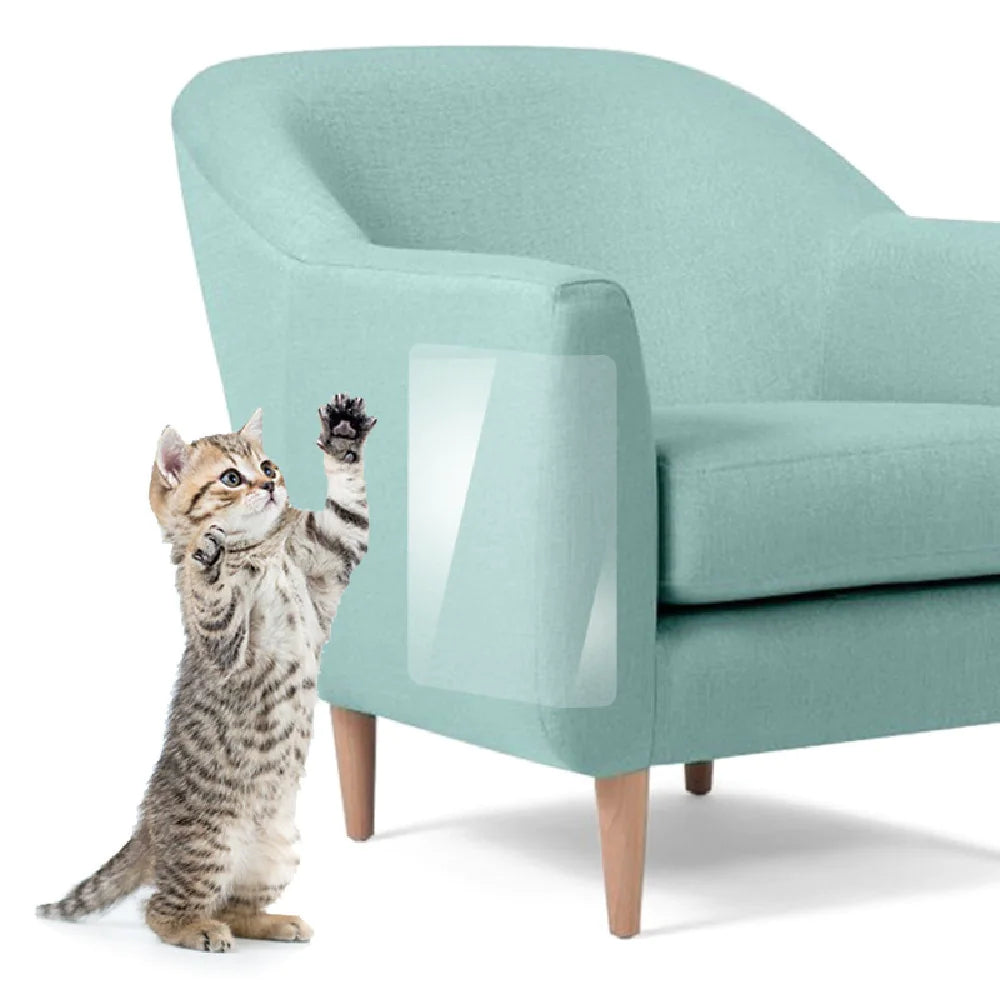 Furniture Chair Anti-scratch Stickers protecting turquoise armchair fabric from cat scratches with transparent adhesive film